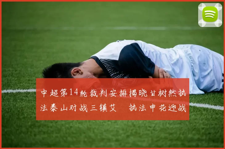 中超第14轮裁判安排揭晓甘树然执法泰山对战三镇艾堃执法申花迎战新鹏城